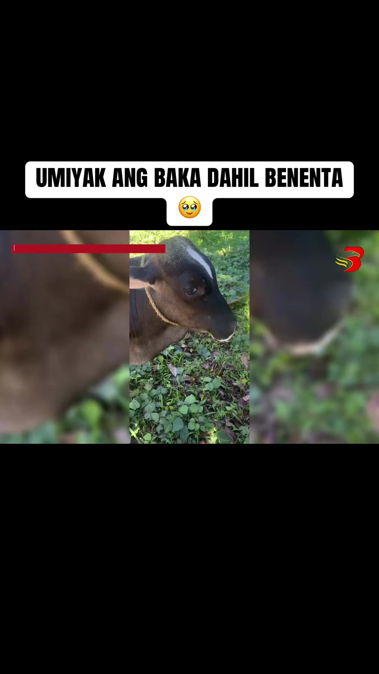 @𝗠𝗥.𝗖𝗢𝗦𝗧𝗔𝗡𝗔𝗦🇵🇭