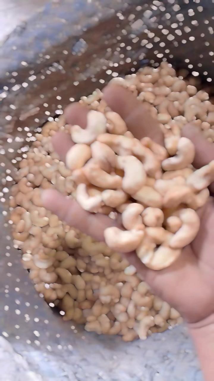 @شادي التركي