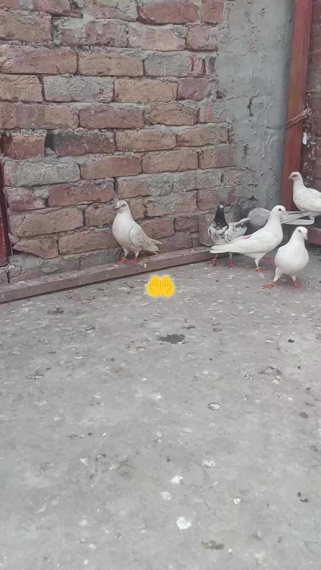 @Waqas Rajput