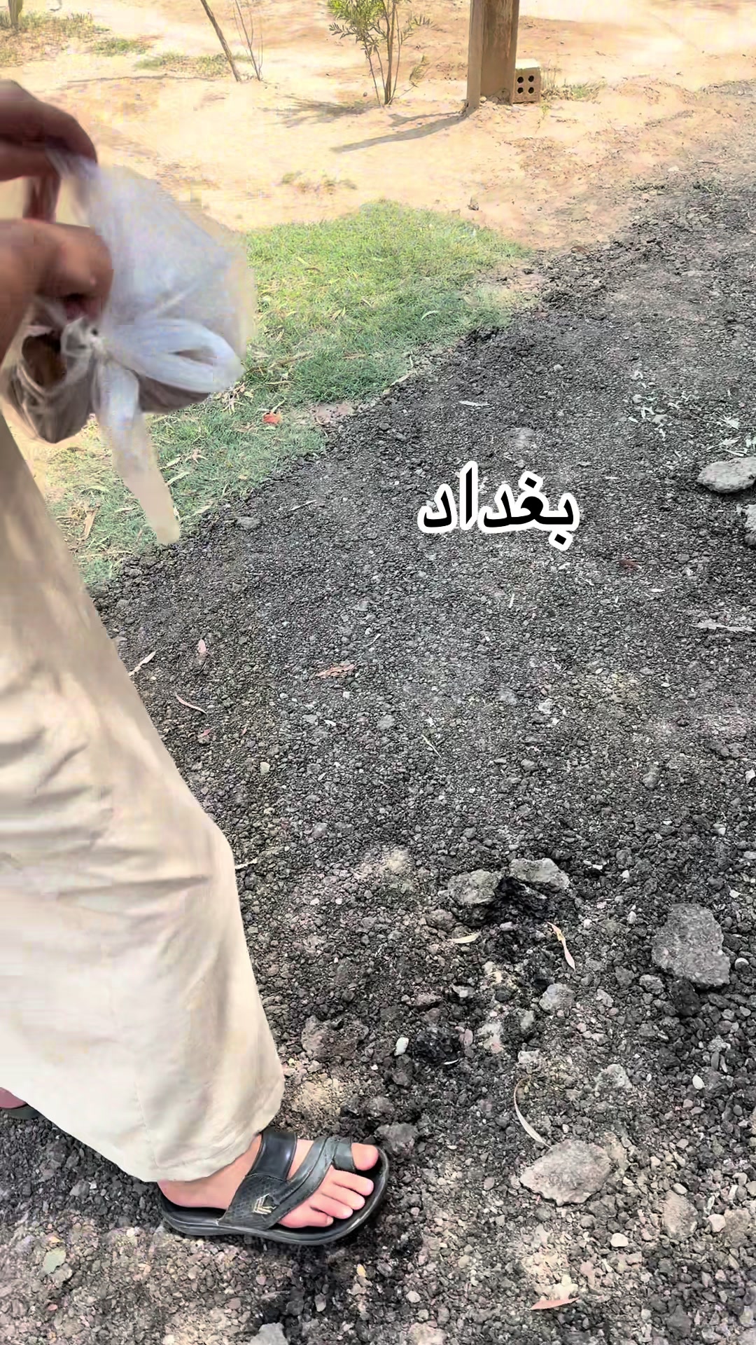 @Noor ibrahim