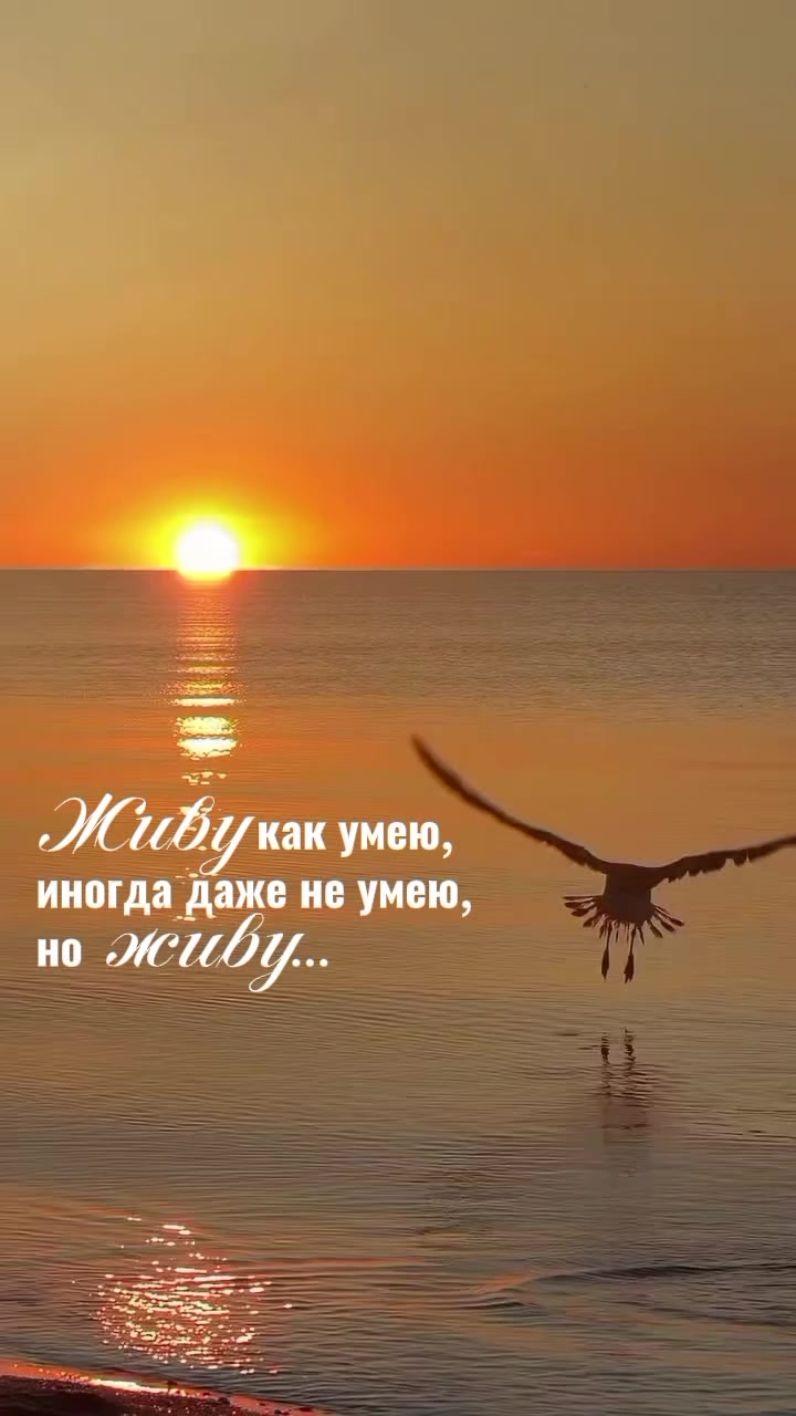 @elena