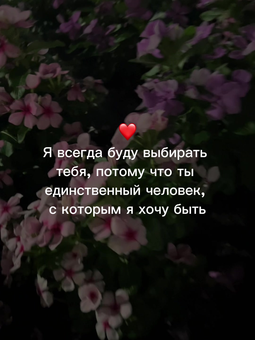 @muzdogz