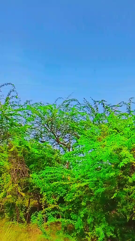 @Ghayal 🧡Jaan