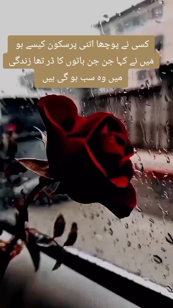 @Mehroo