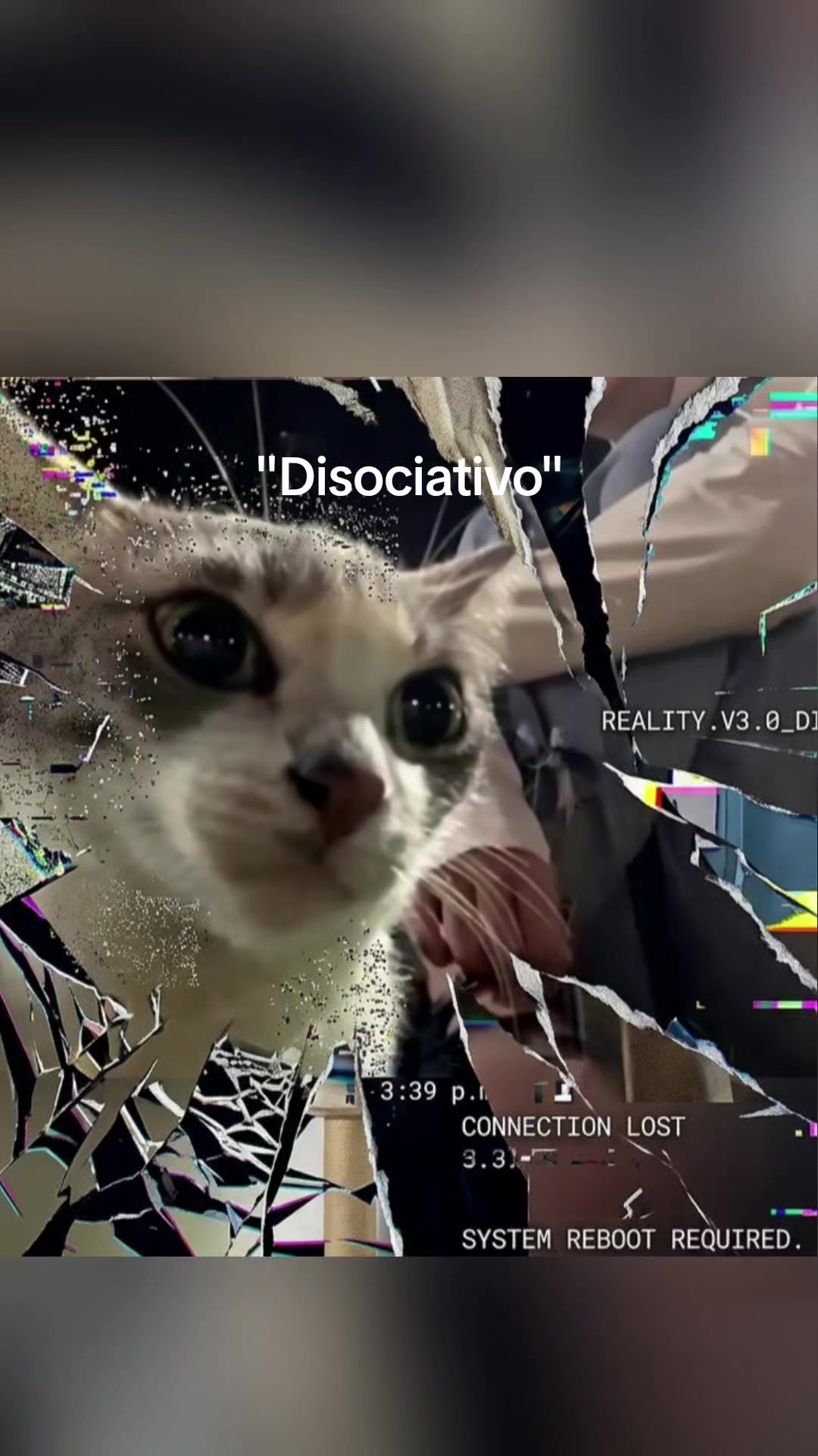 @𝕄𝕚𝕔𝕙𝕚🆂🅰🅳