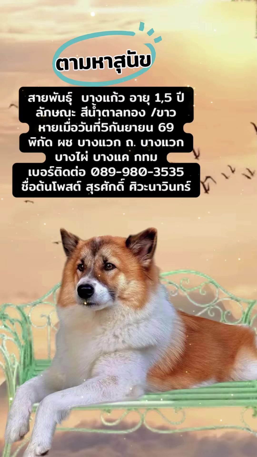 @Saowanee Sriya