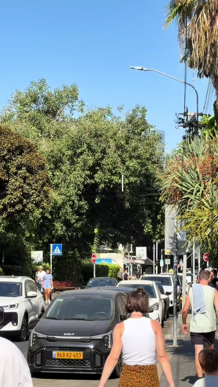 @מישל המלכה