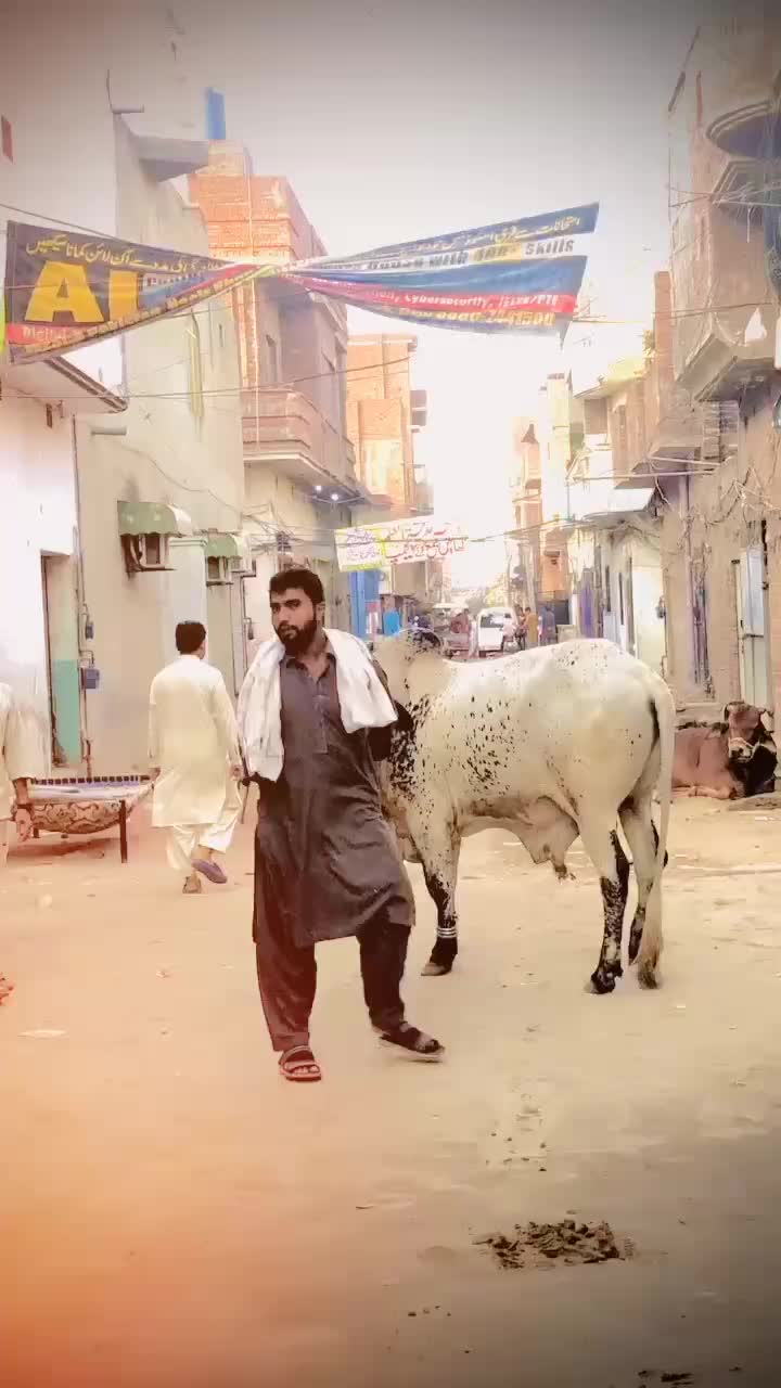 @haider sader