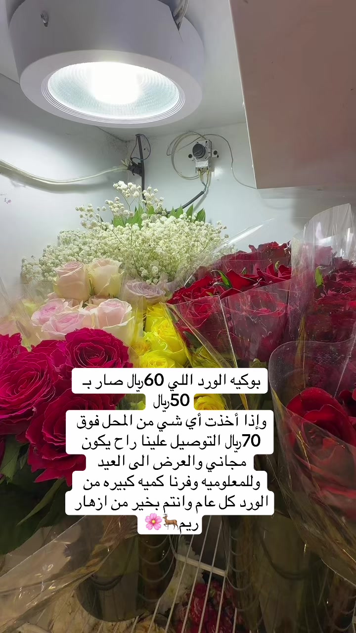 @عيسى الشمري احتياط