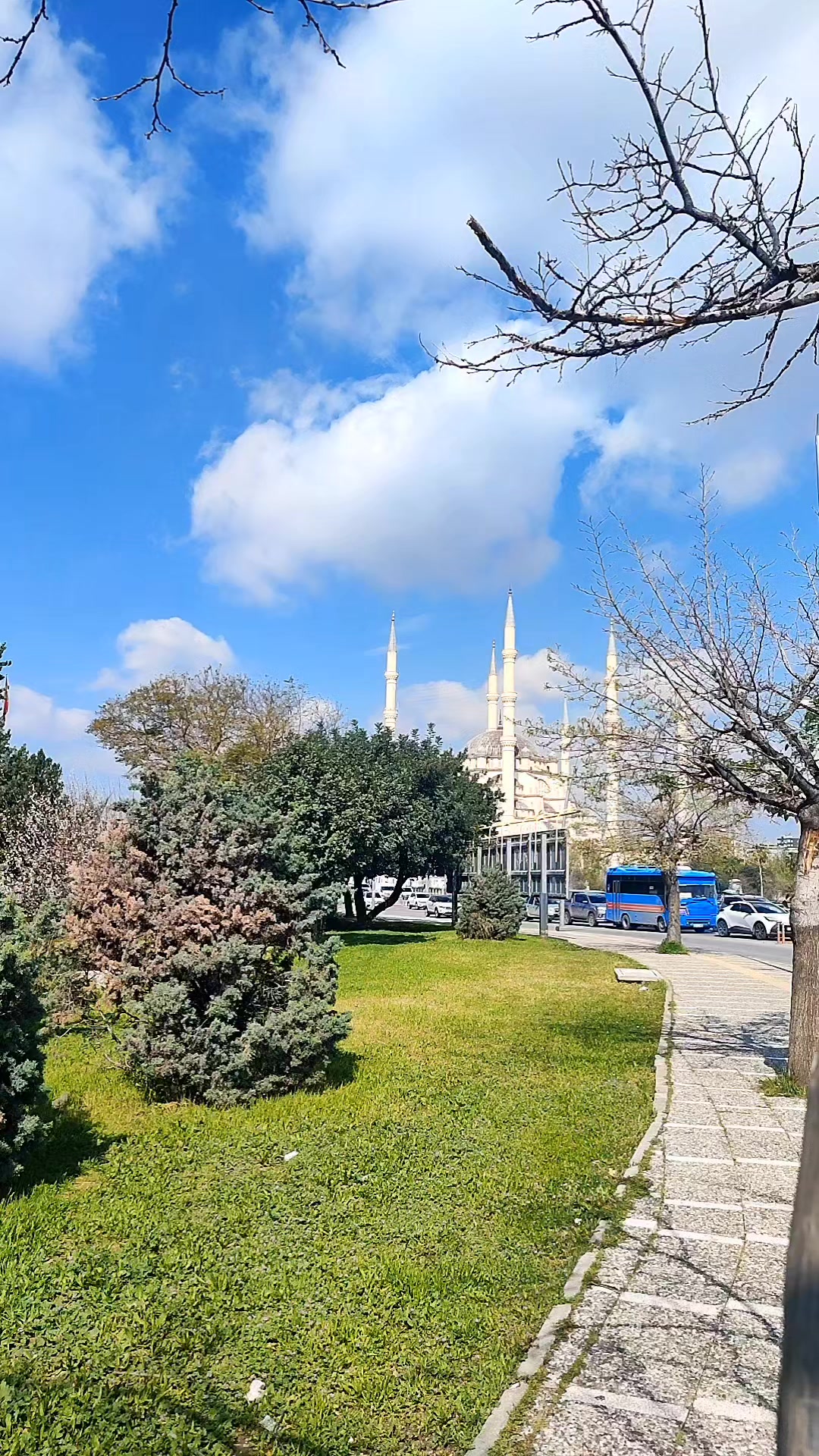 @احمد بكران 515