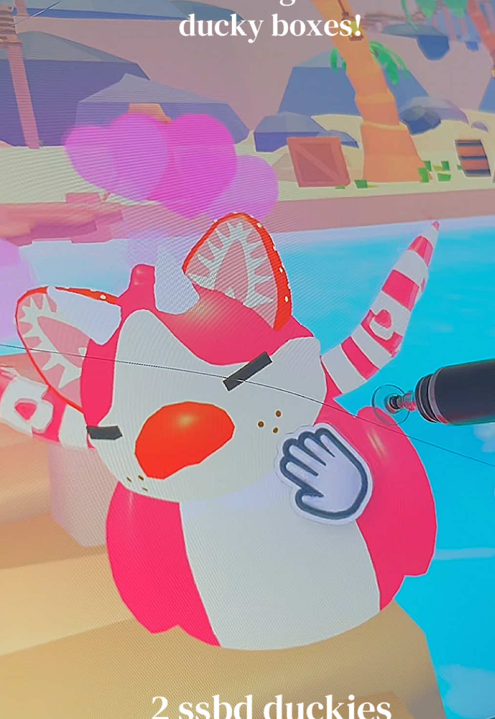 @⟡ ݁₊ . 🐋 𝐄𝐋𝐋𝐀 🦢𐙚🪽