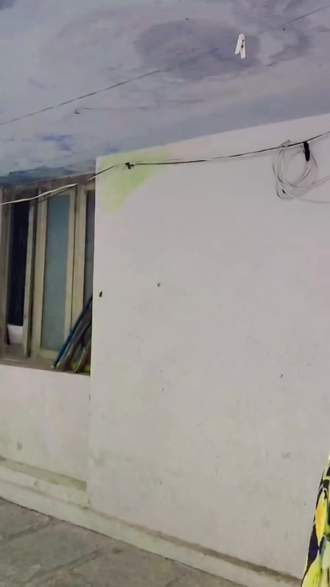 @কবির হোসেন