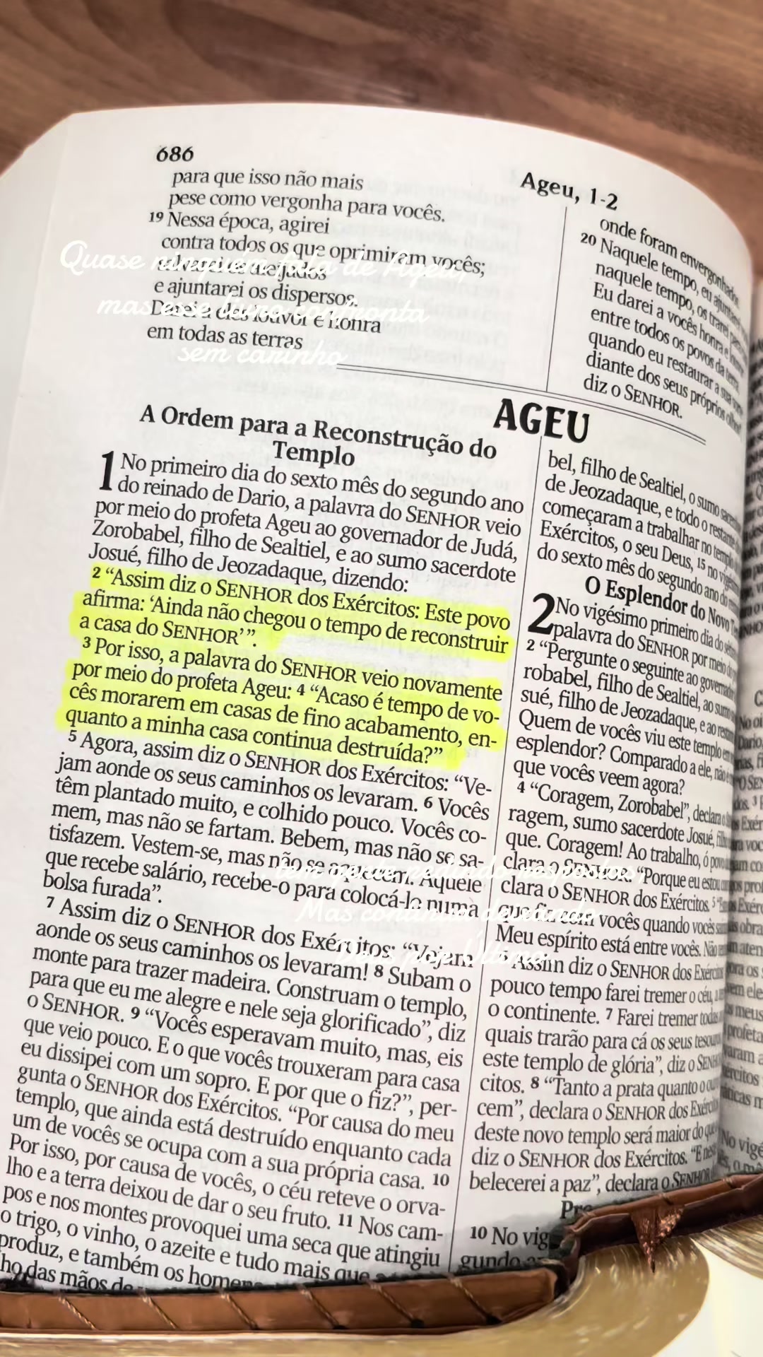 @Fr@ncielle Alves