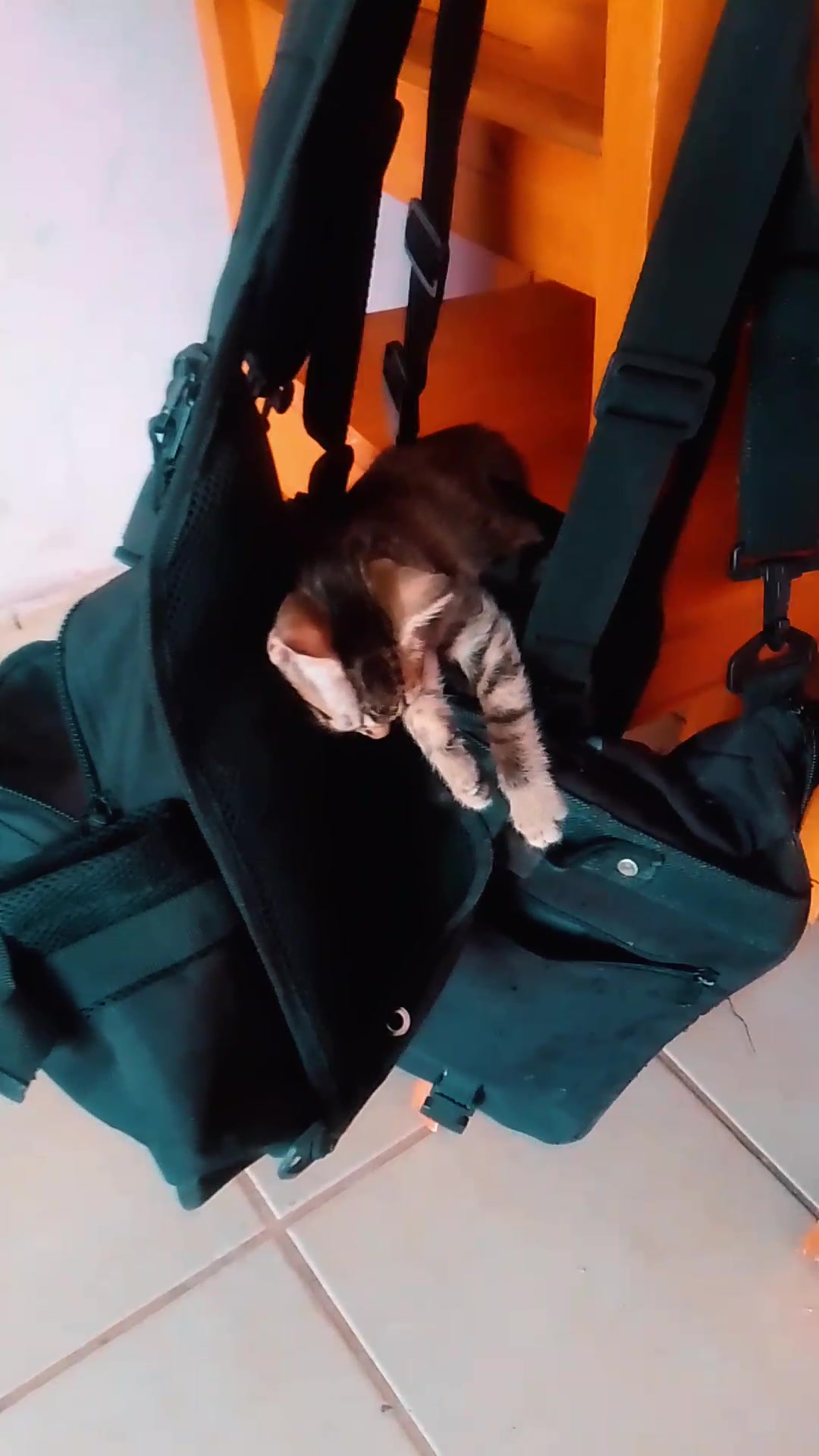 @Kitty tikitita