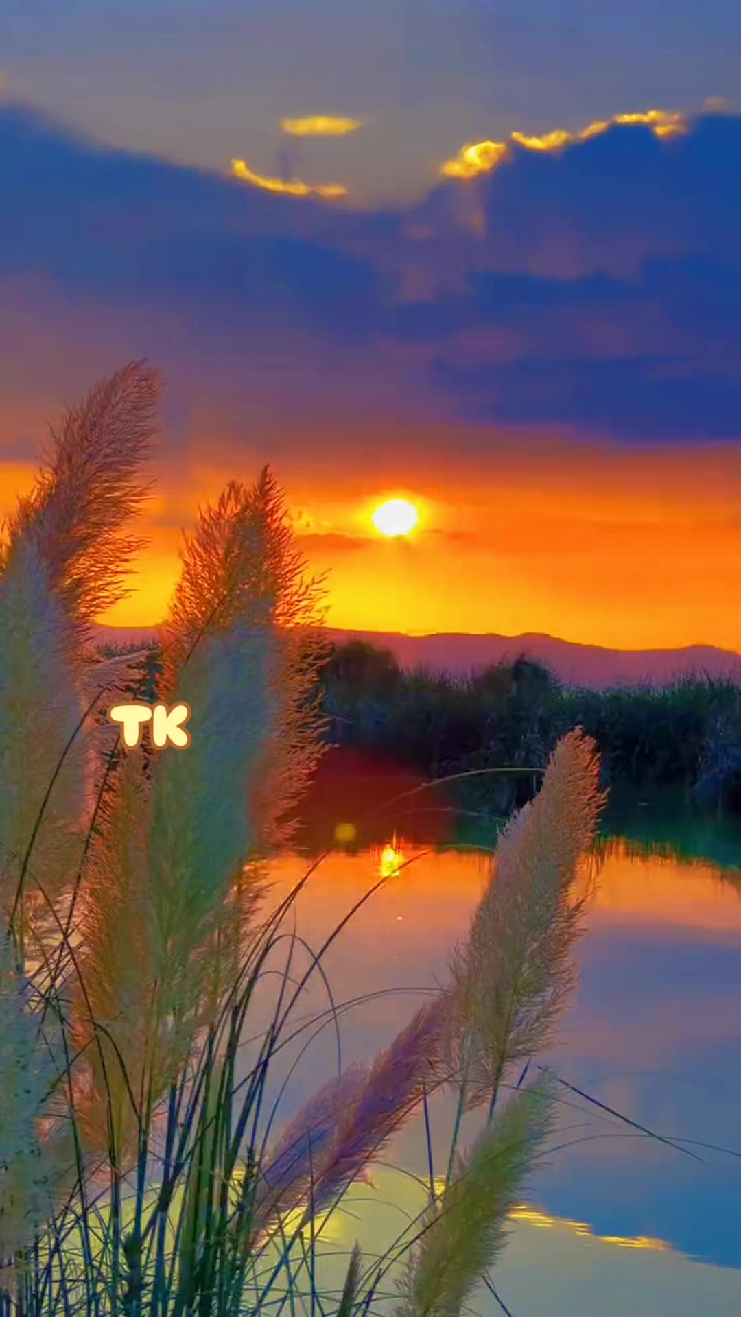 @❤️ TK ❤️