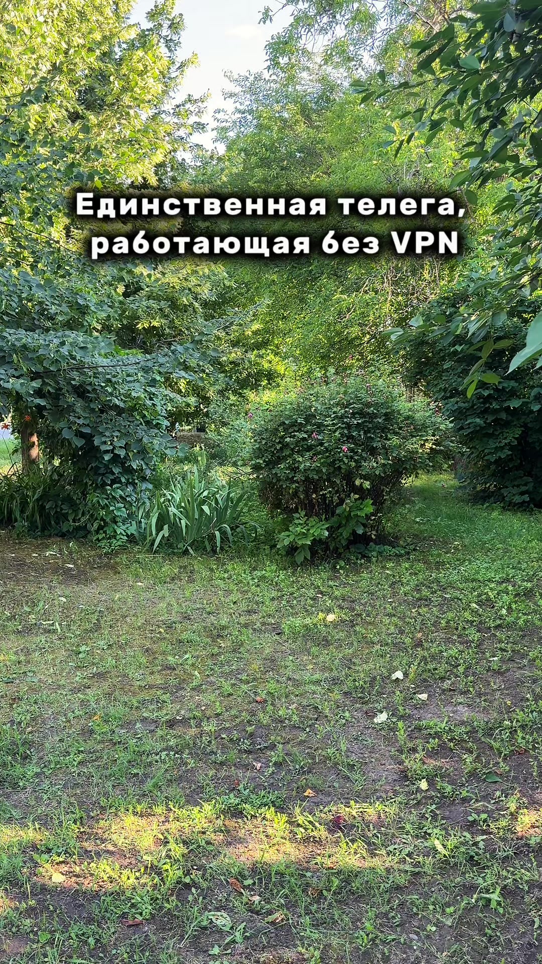 @привет, я Софа