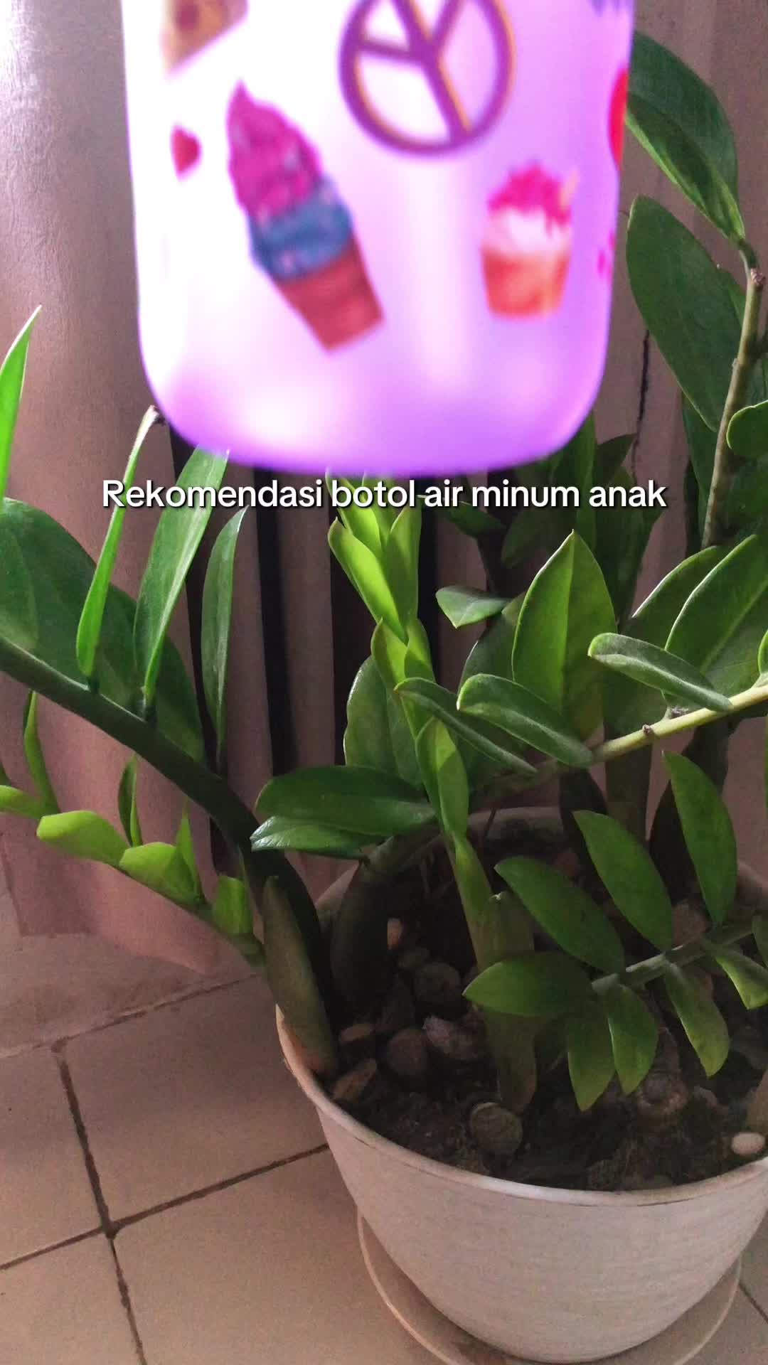 @Nuy