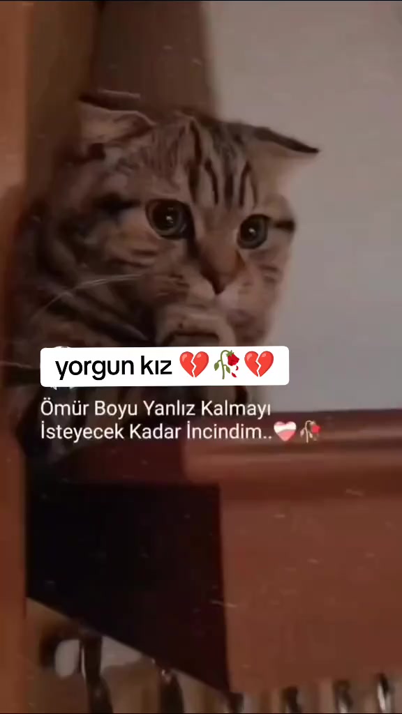 @💔YORGUN-KIZ💔