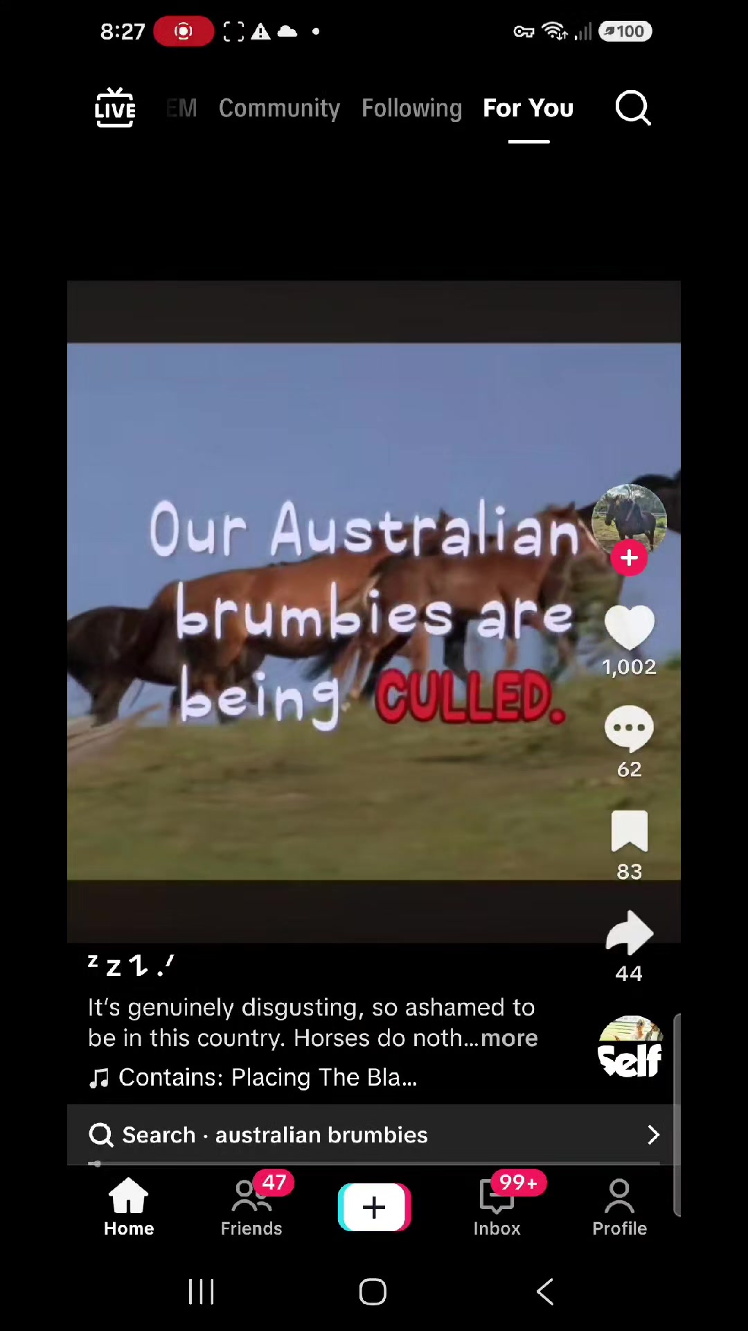 @stonermetalfan🏳️🌈🔻☭ ♫⃠🇦🇺