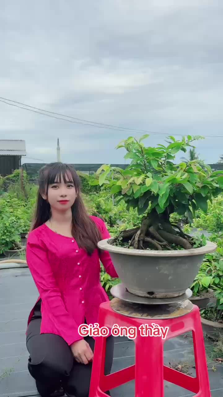 @Chichchoebong79