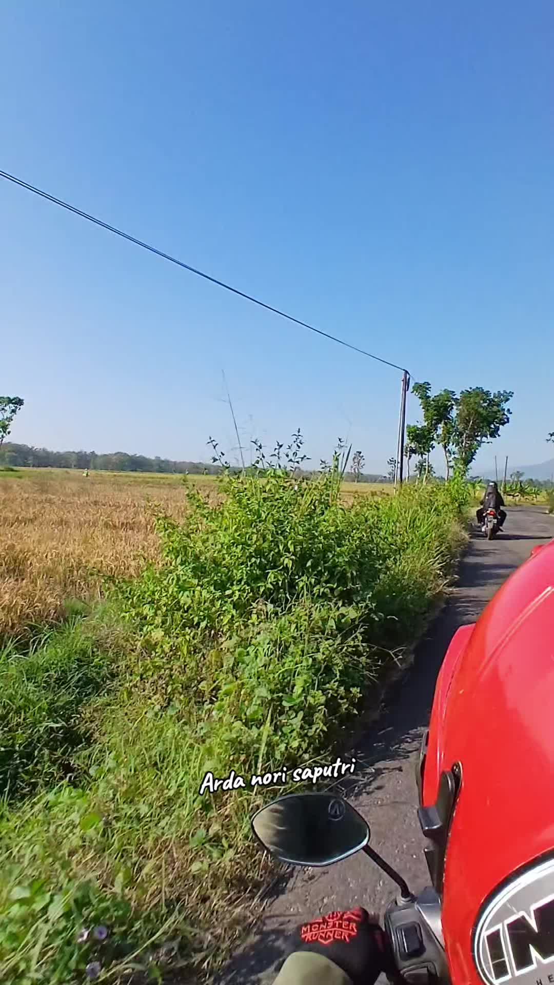 @Midutt