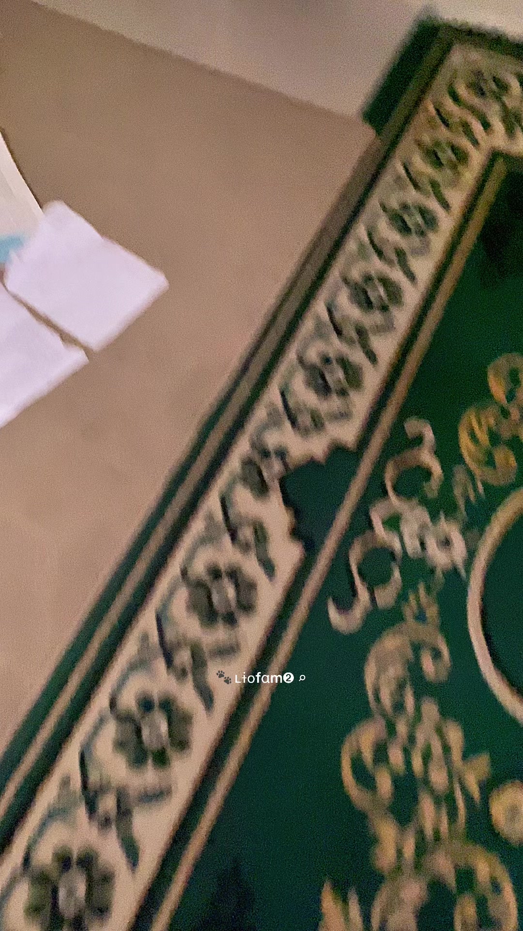 @ʟɨօf&alpha;m➋ ⌕ 🐾