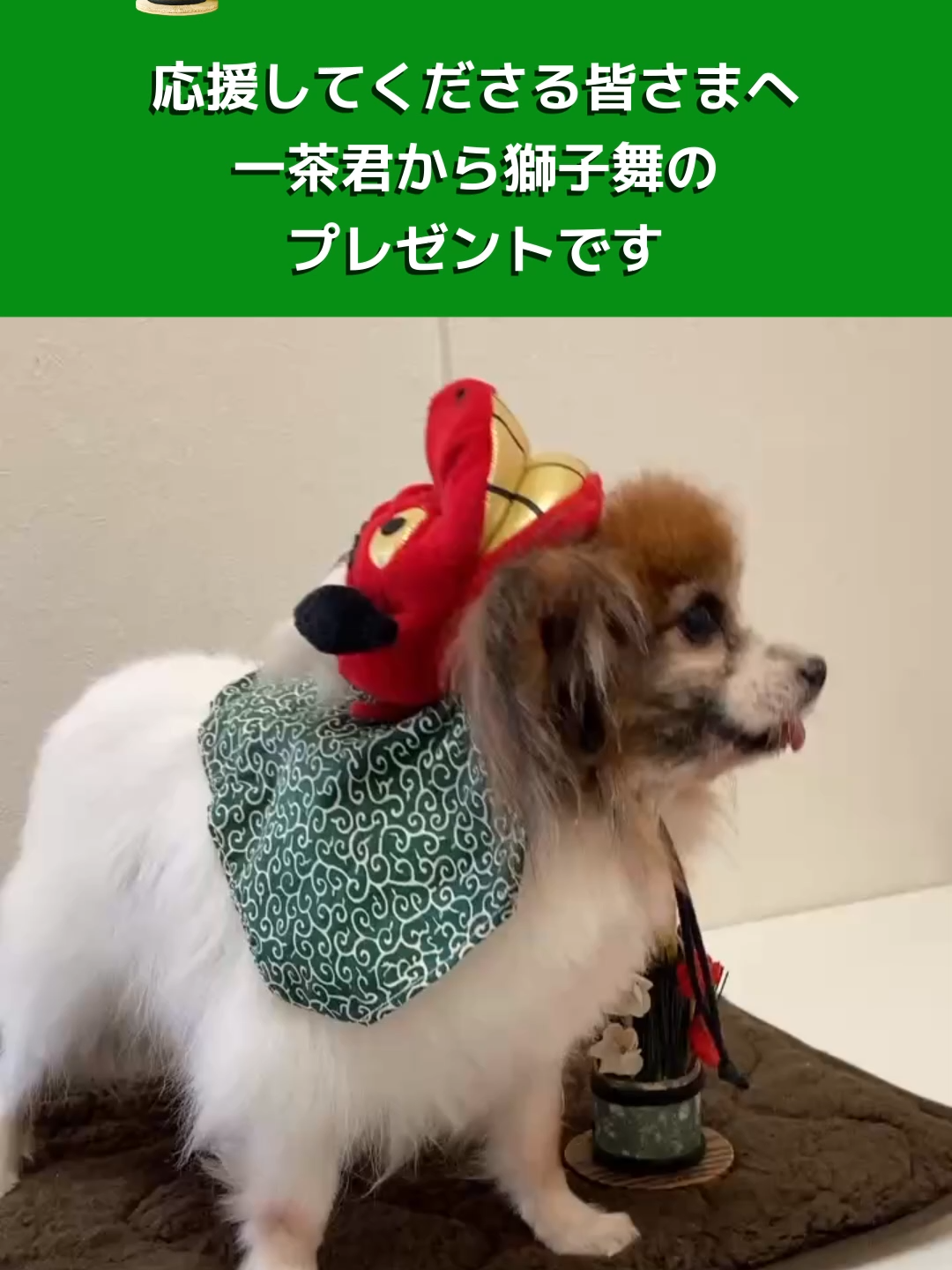 @NPO法人エターナル・ホーム
