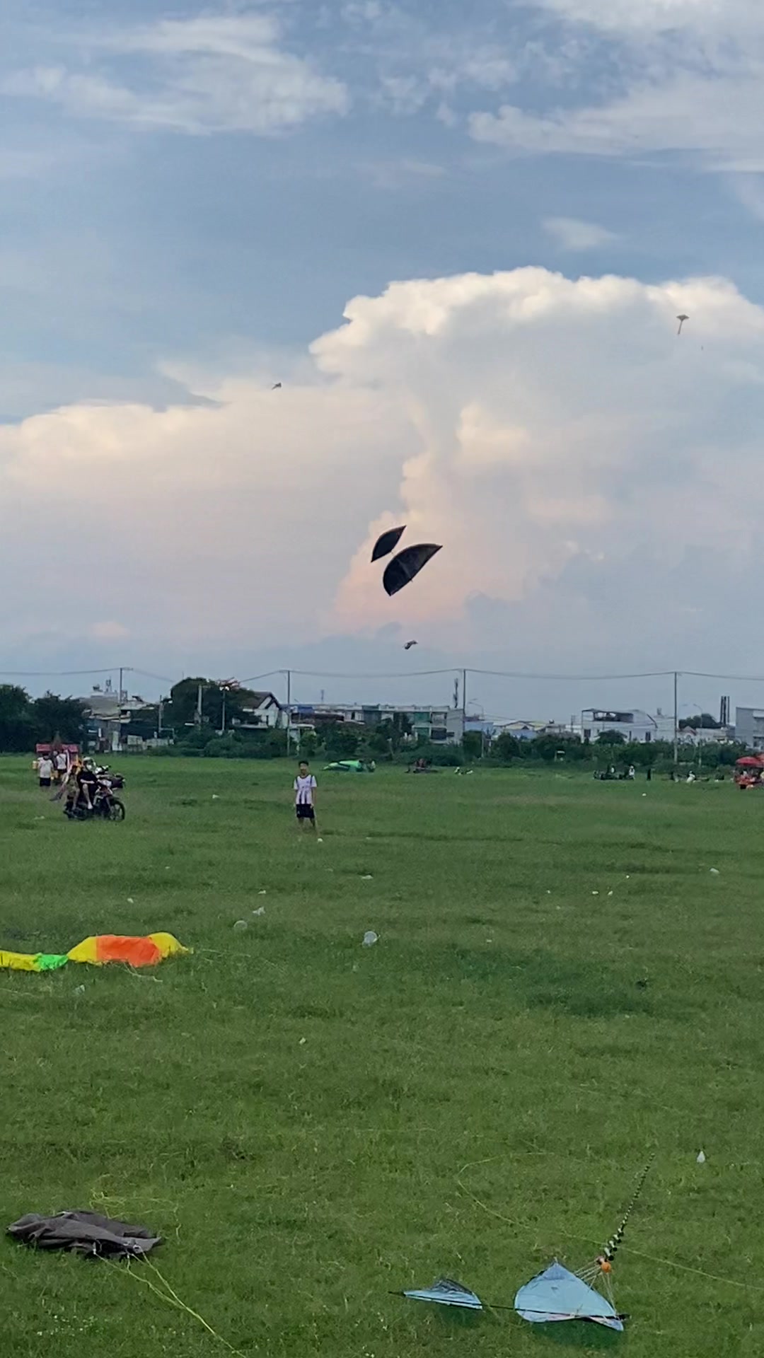 @Thả diều cùng Lợi