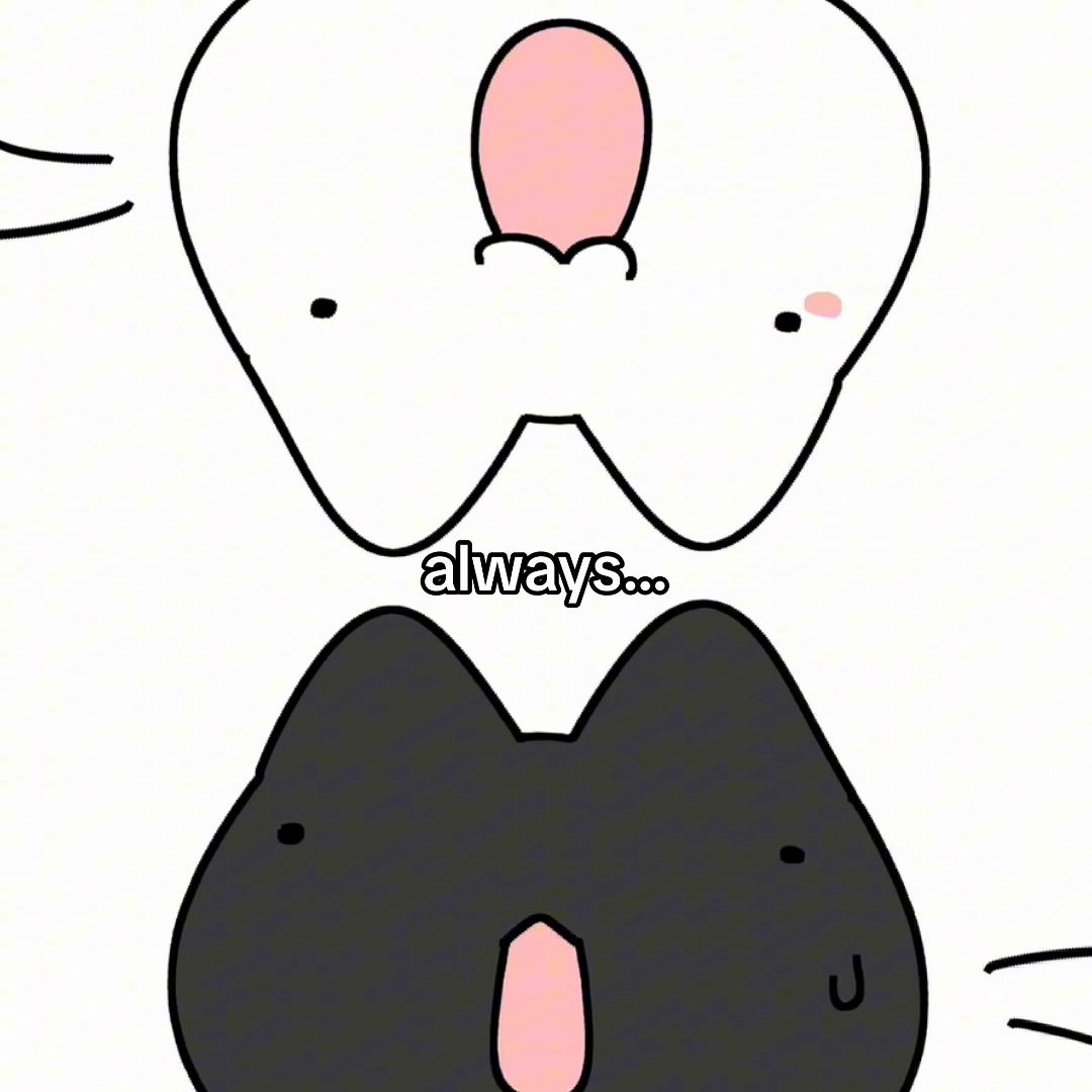 @yoyo