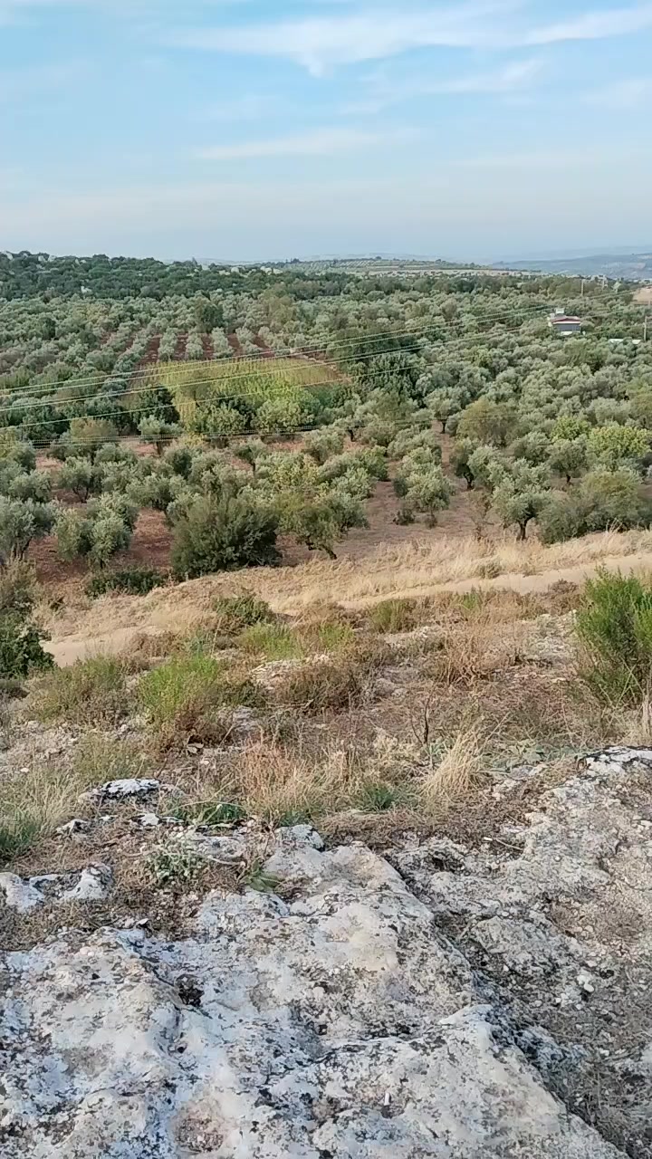 @Ayşe