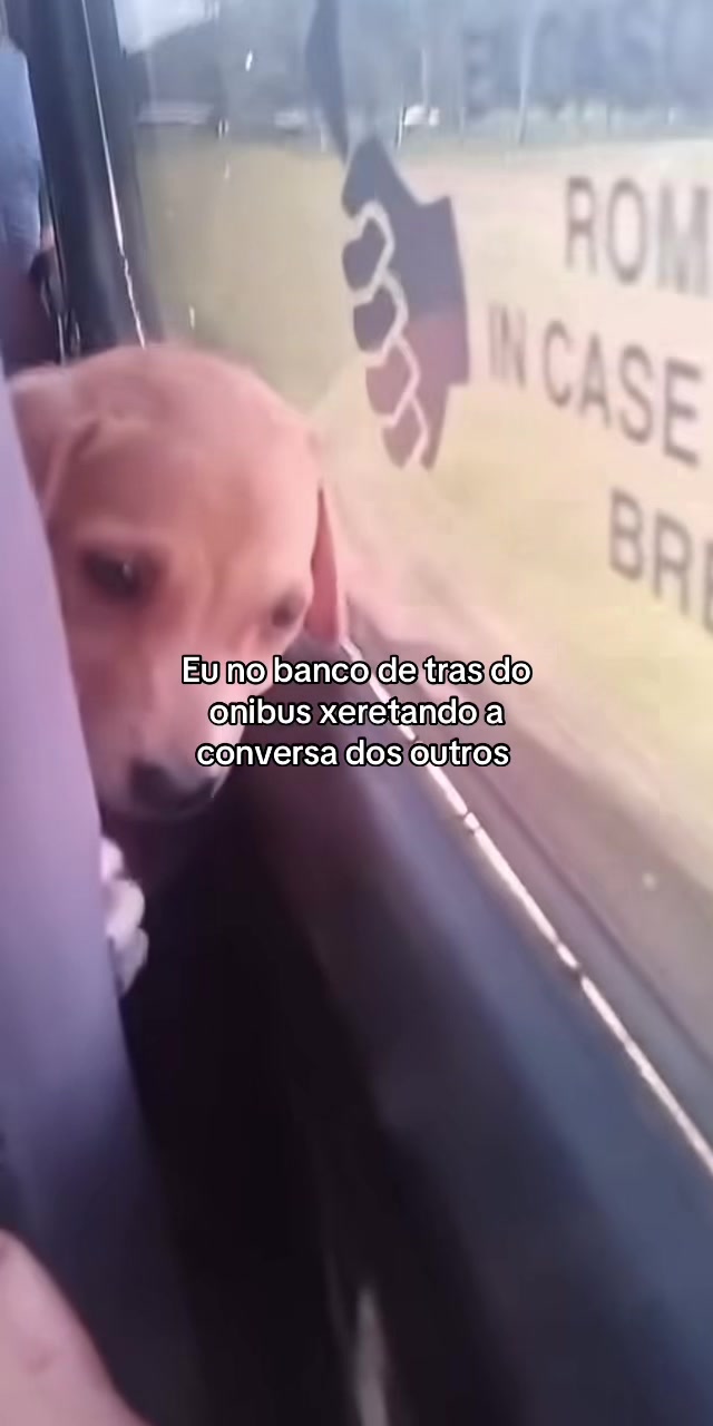 @Bom Realmente