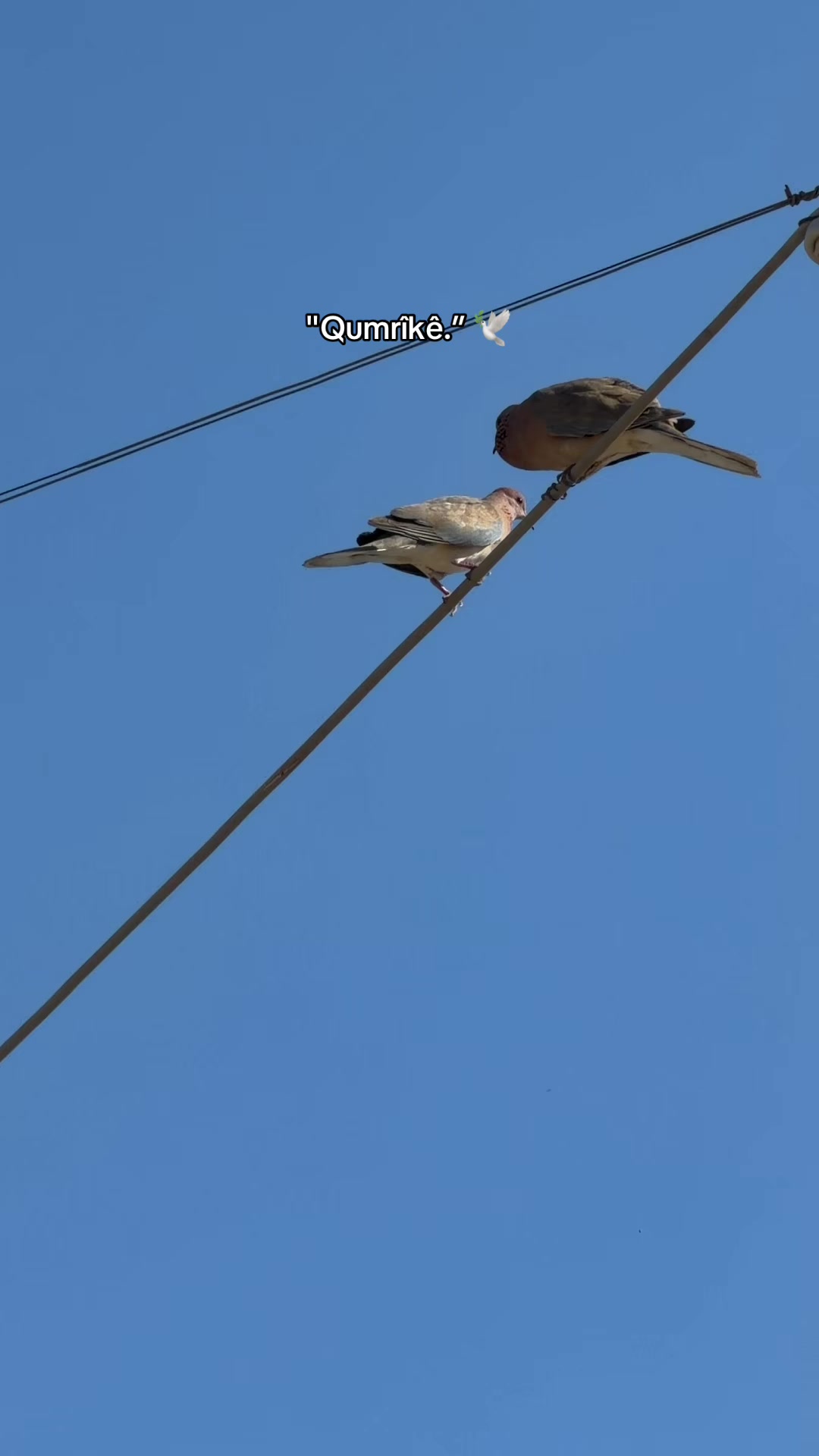 @𝓞𝓷𝓼𝓮𝓴𝓲𝔃𝓪𝓻𝓪𝓵ı𝓴