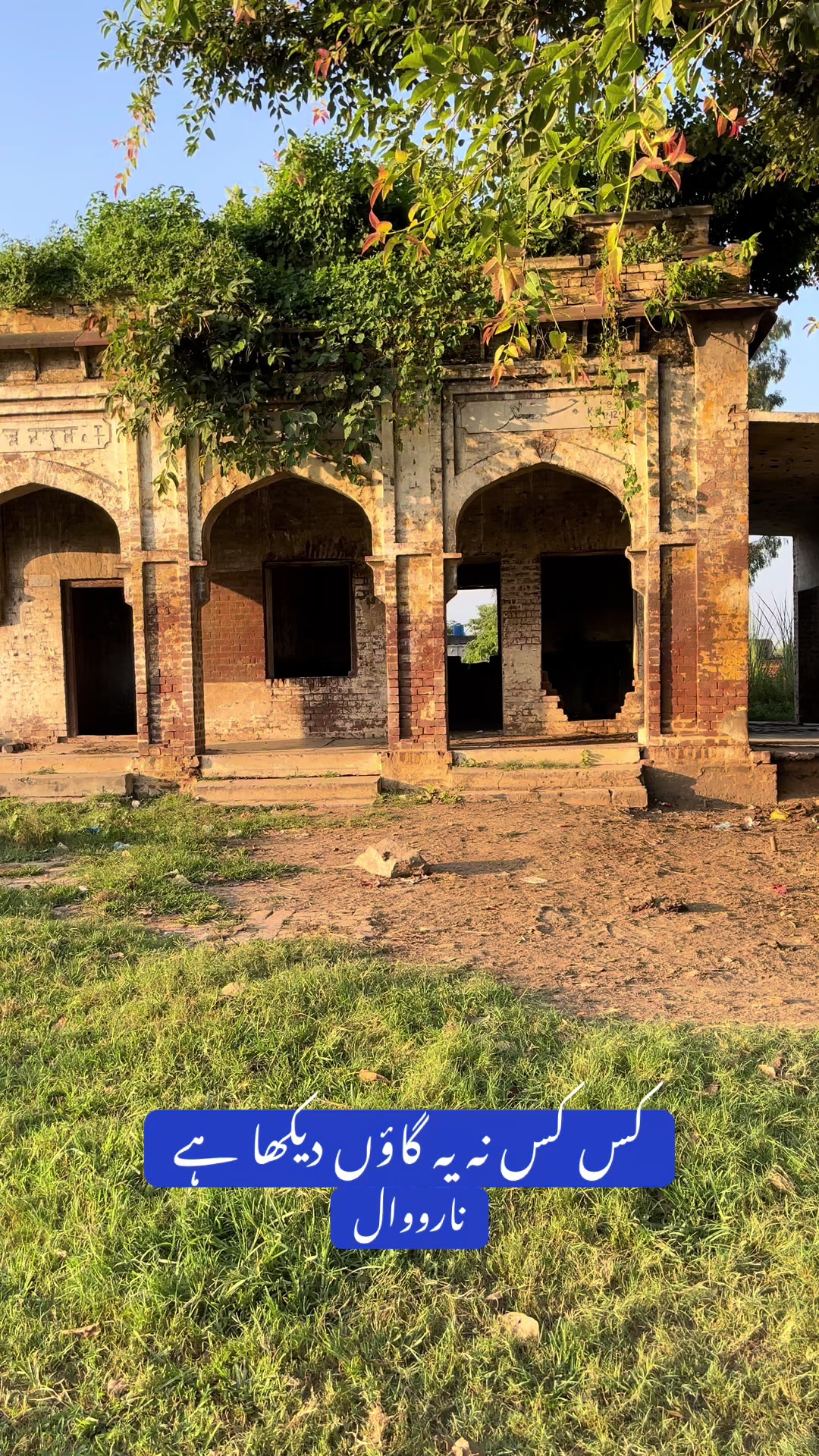 @Rehab Fatima 🇵🇰