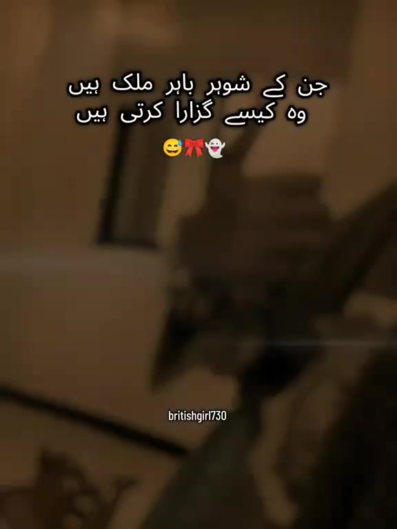 @๐ฆ๐ช sultan Malik๐ฆ๐ฏ๐ฆ๐ฏ๐
๐