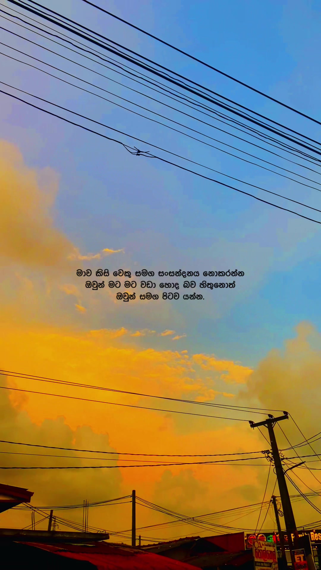 @R U M A 🧸!