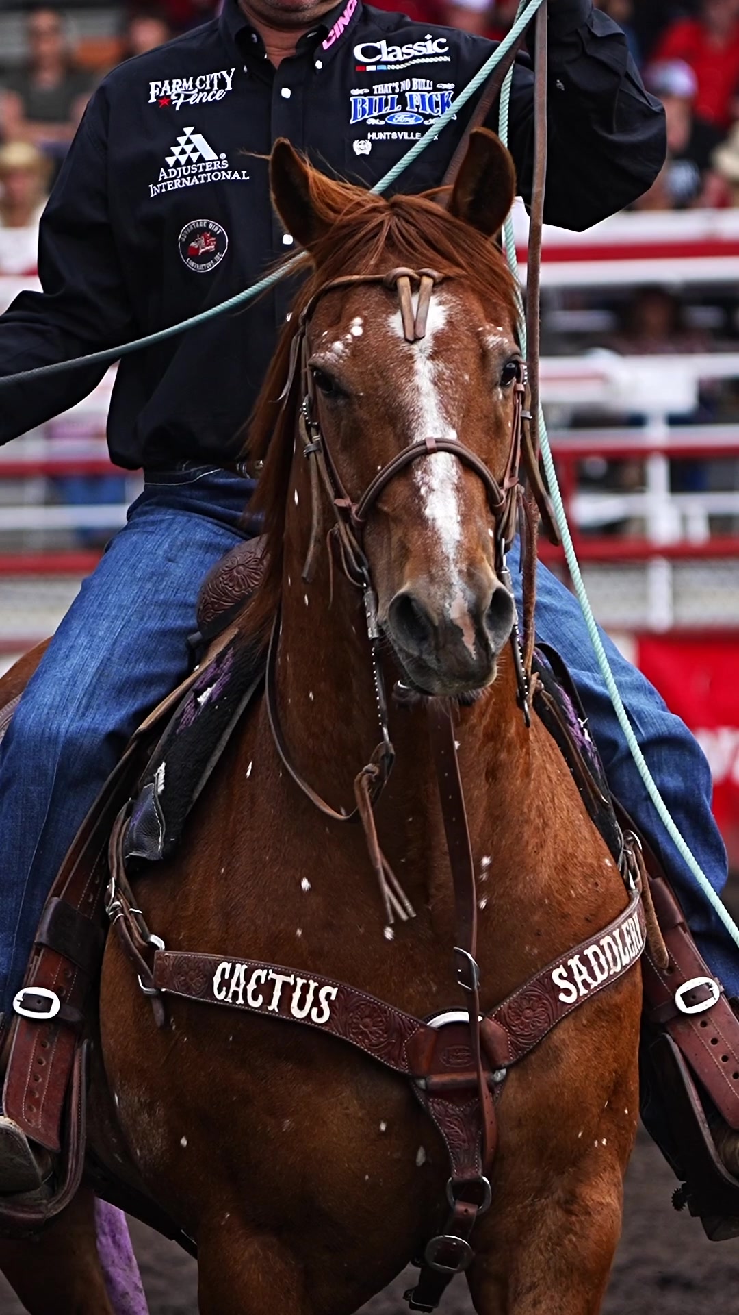 @Hanginghorses
