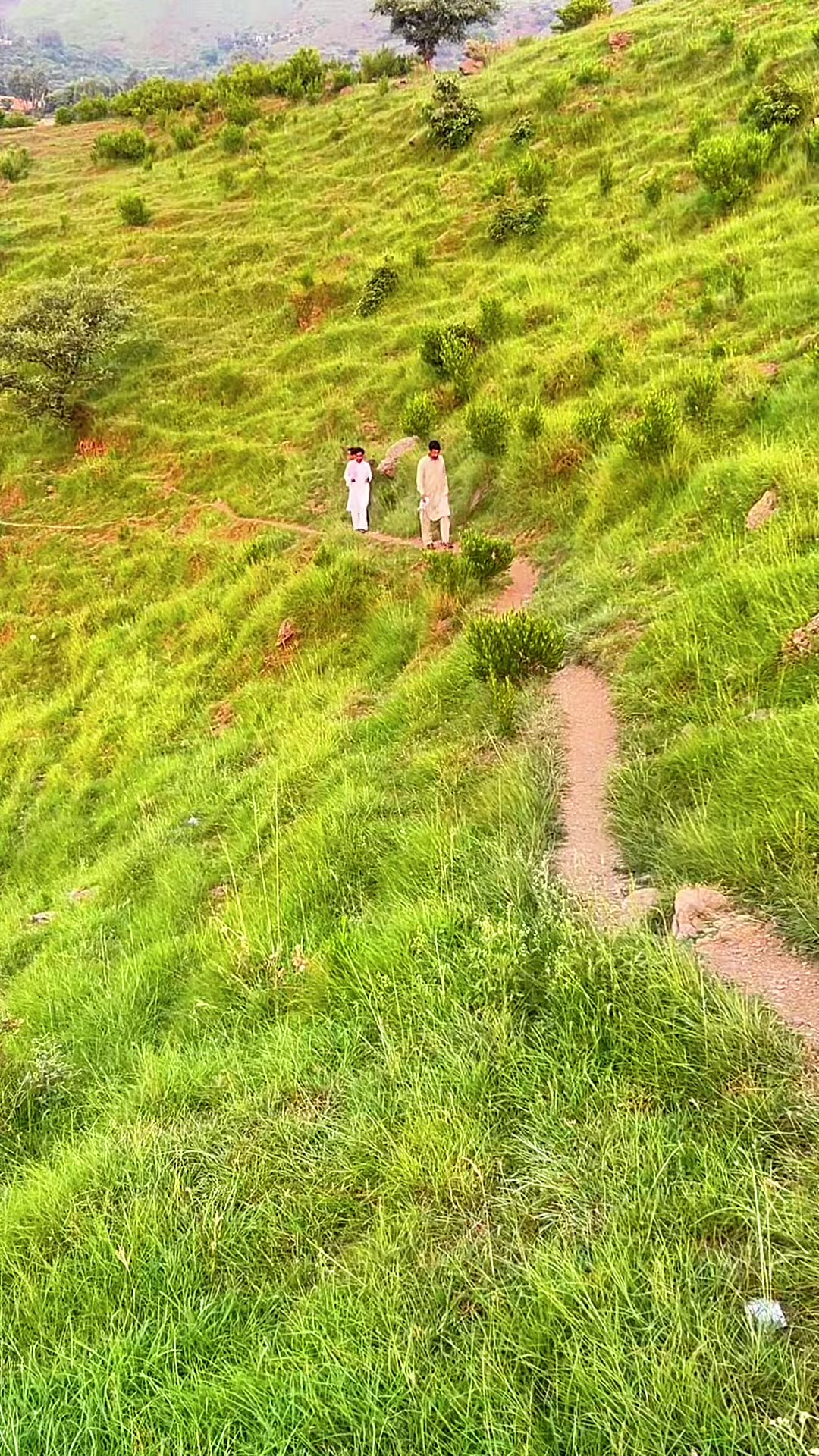@جونى 🍂