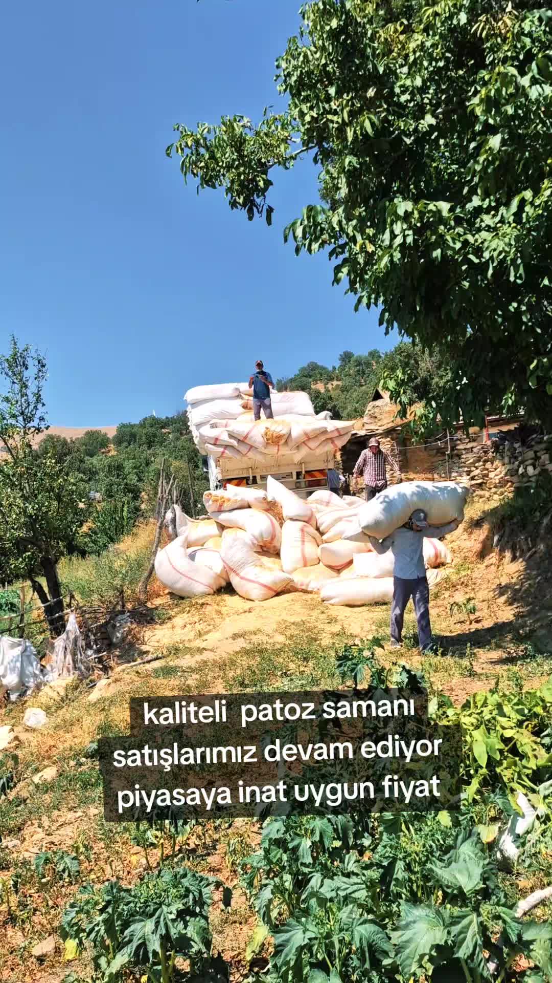 @Cavit G&uuml;reş&ccedil;i