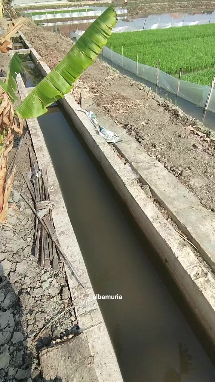 @elbamuria