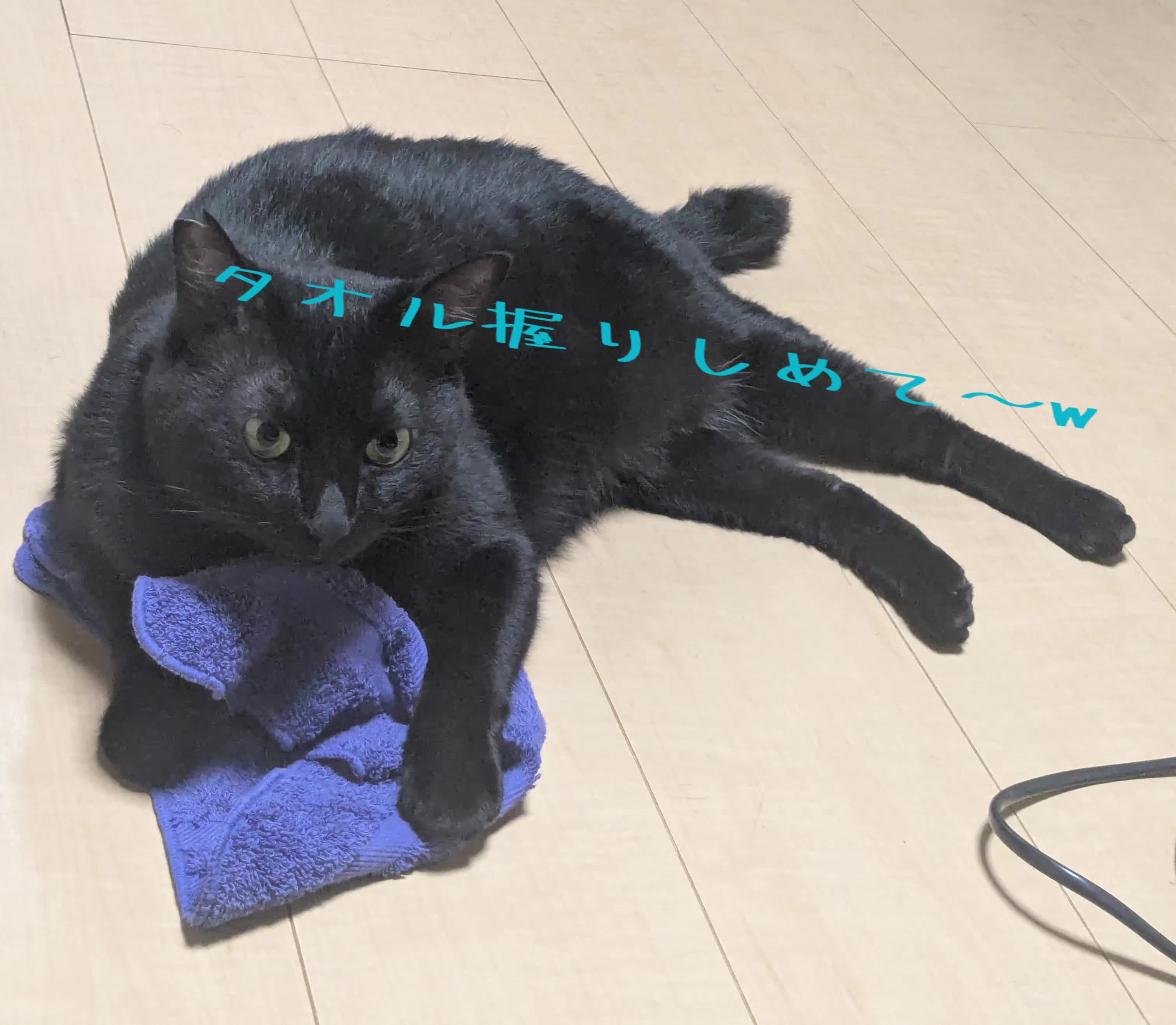 @キュキュ