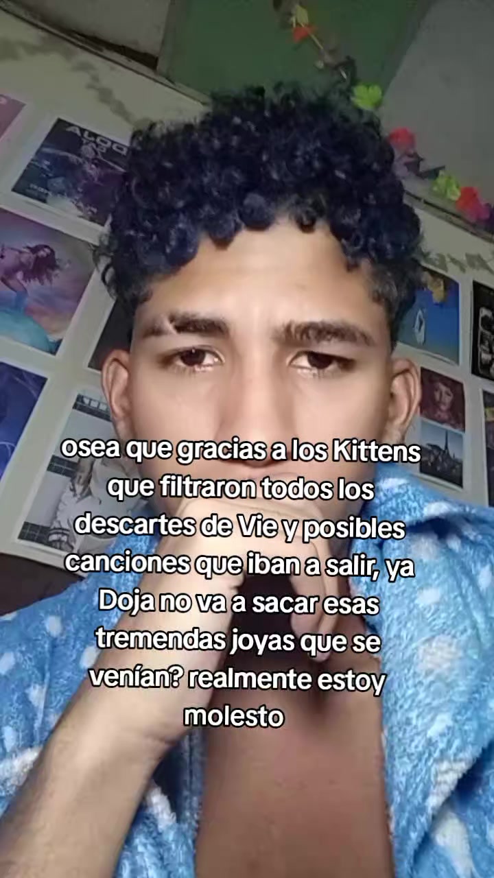 @Diego Kitten