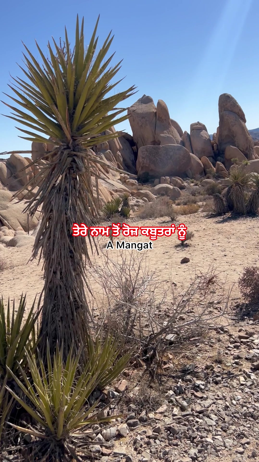@A Mangat