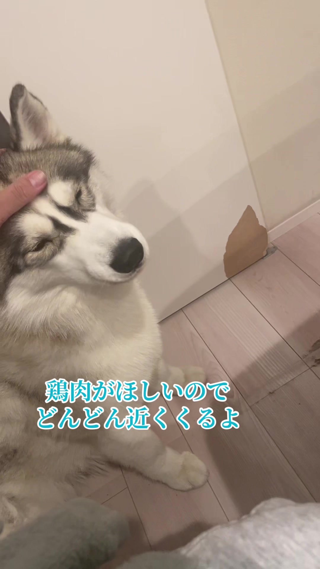 @サン☀️とムーン🌙