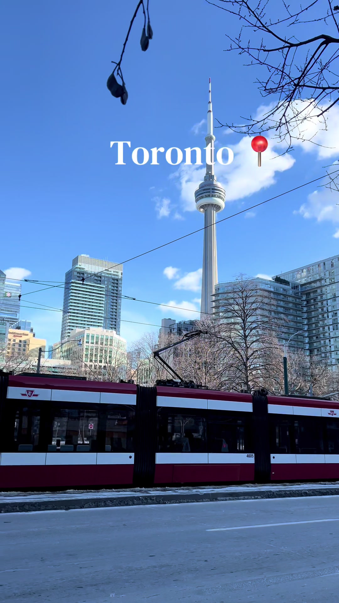 @travelinsightplug