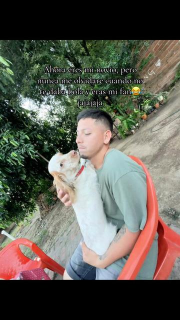 @IngParaada๐ฉ๐ผ๐พ