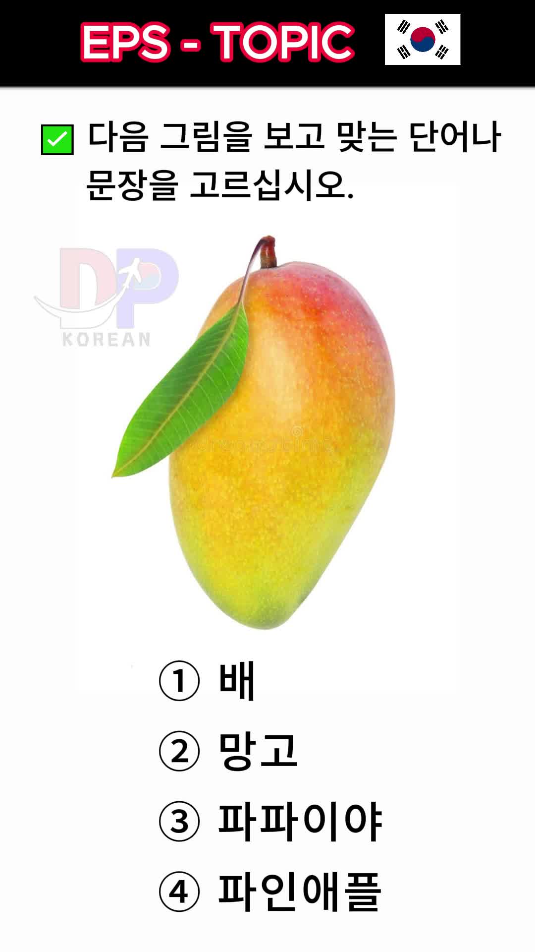 @DP korean