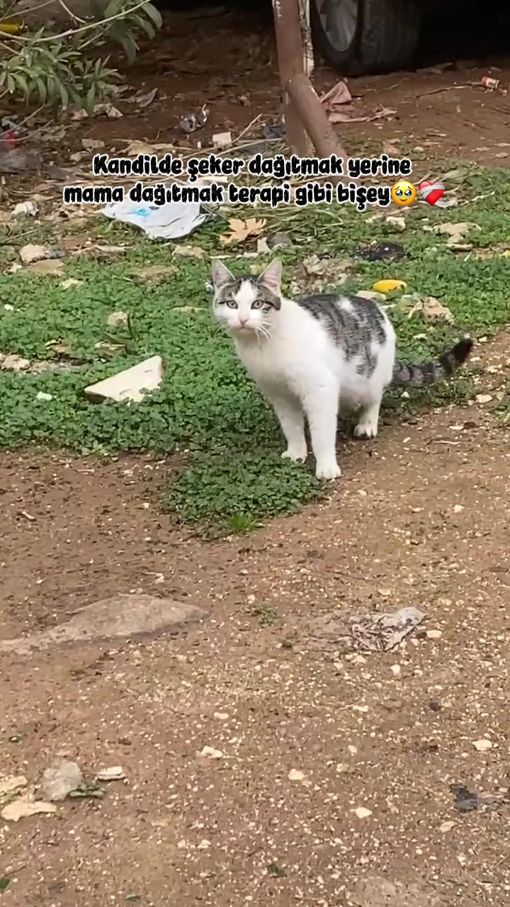 @Yağmur 🌧️