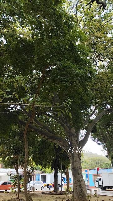 @elkhar
