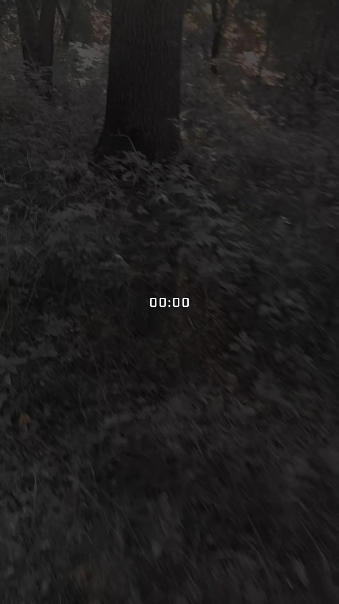 @00:00