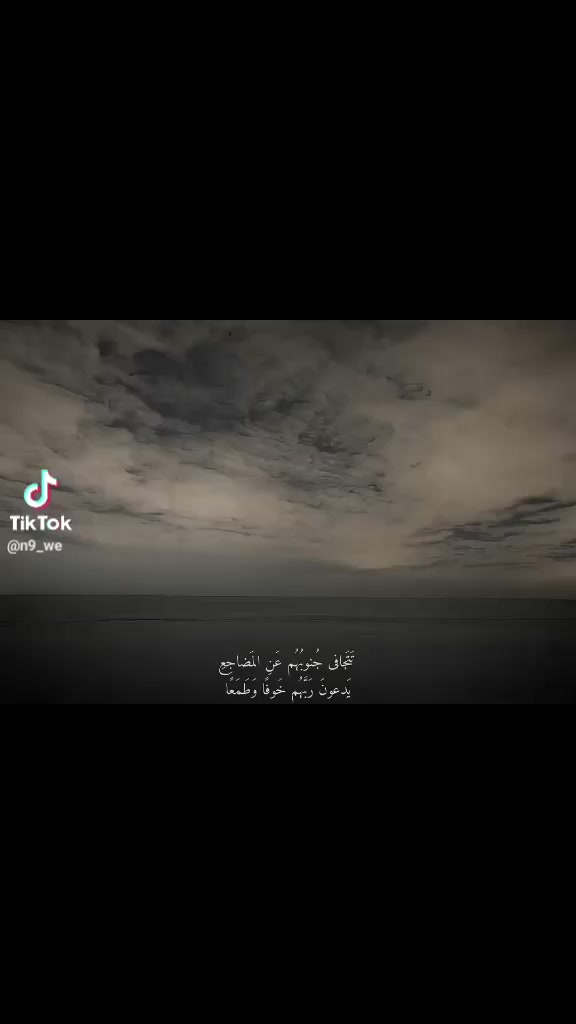 @Nora Mahmoud